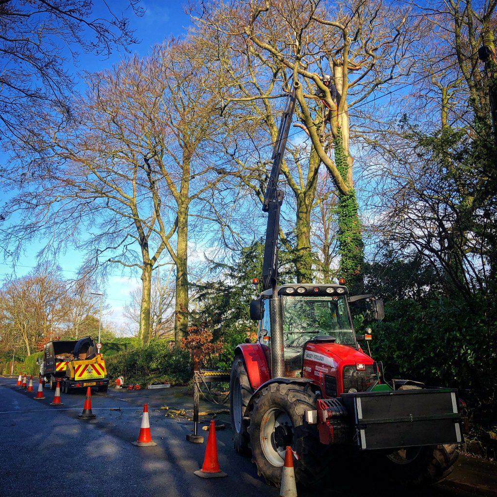 gallery 12 1024x1024 1