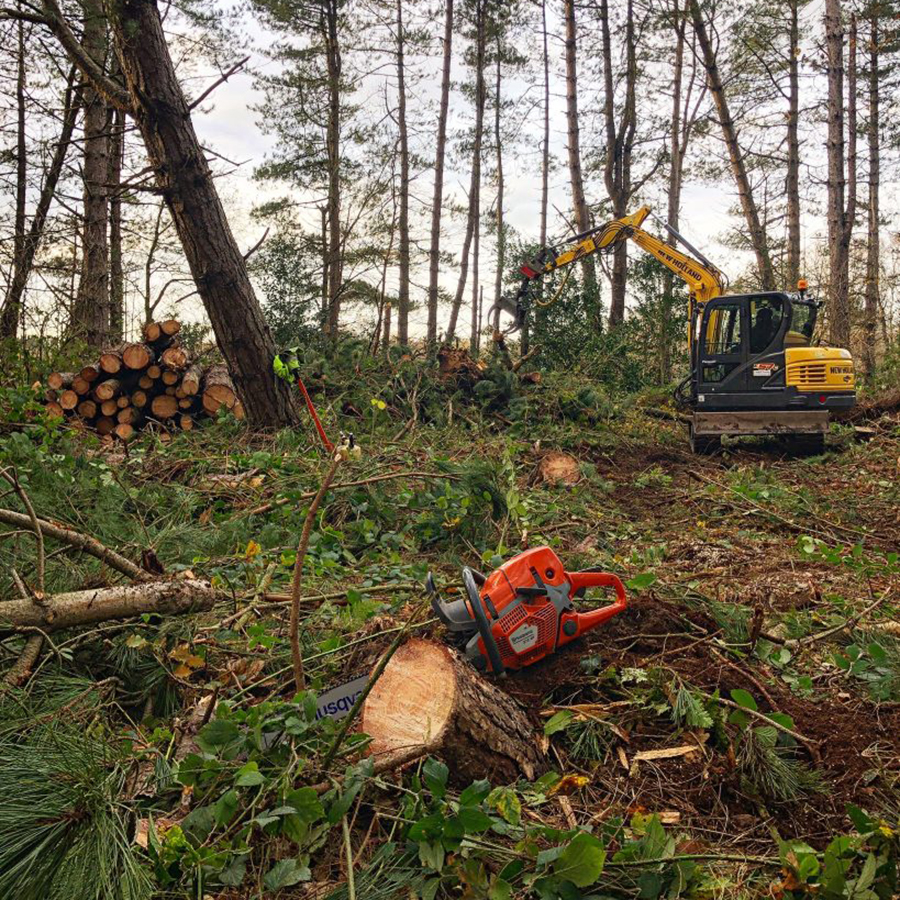 gallery 13 819x1024 1