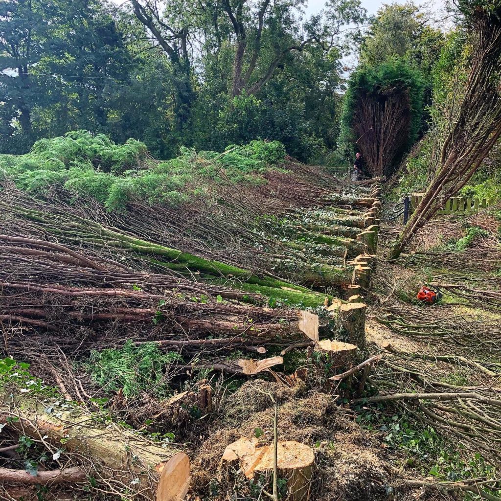 gallery 18 1024x1024 1