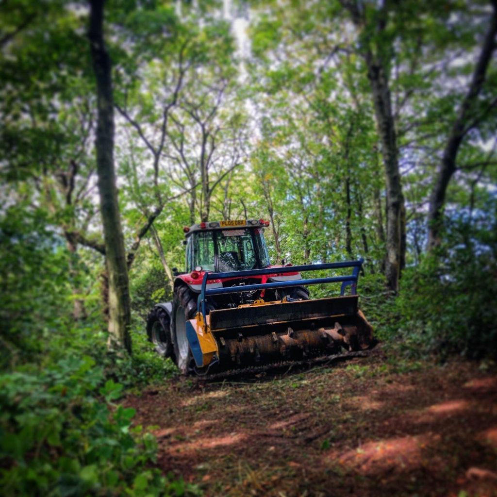 gallery 19 1024x1024 1