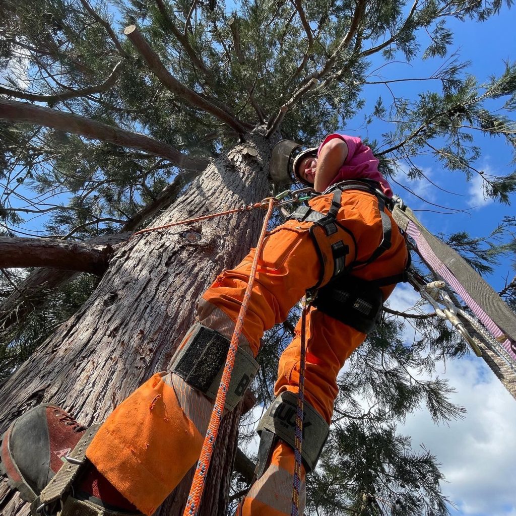 gallery 22 1024x1024 1