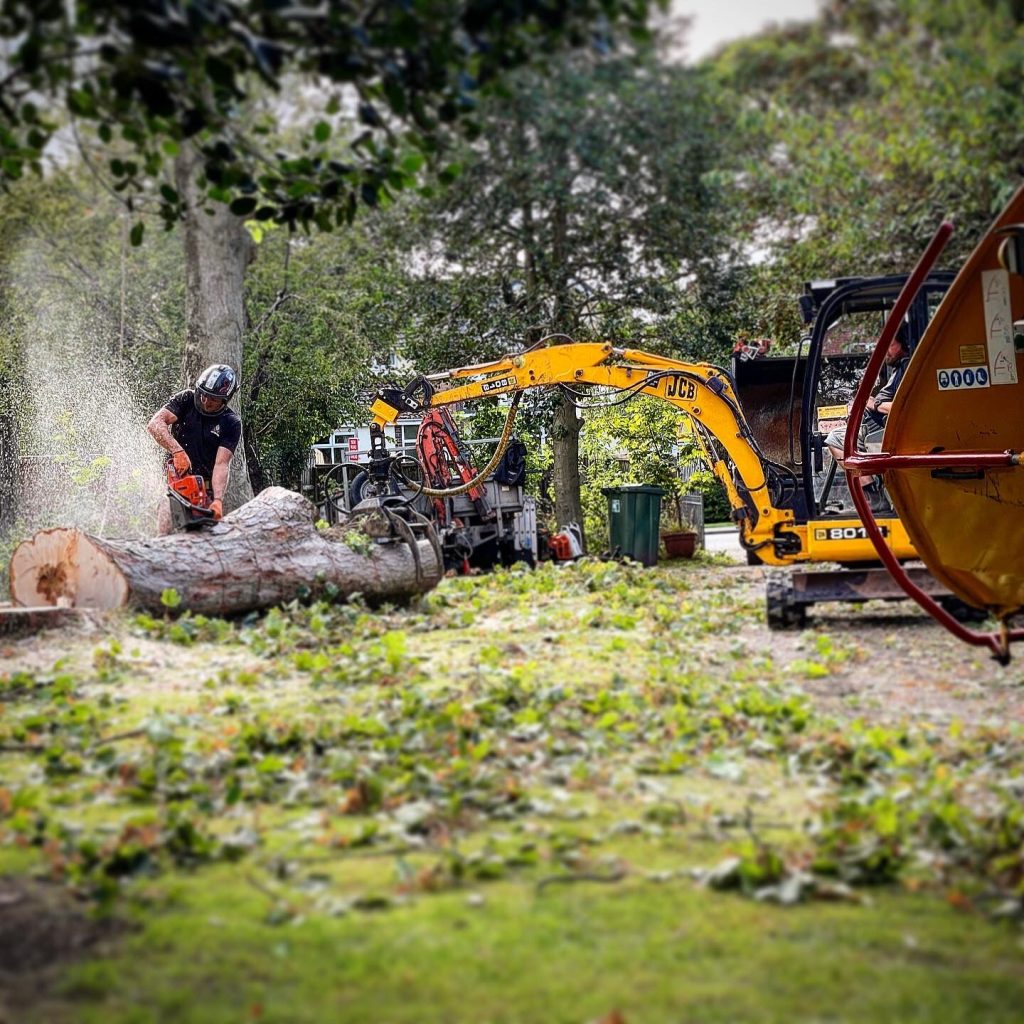 gallery 23 1024x1024 1