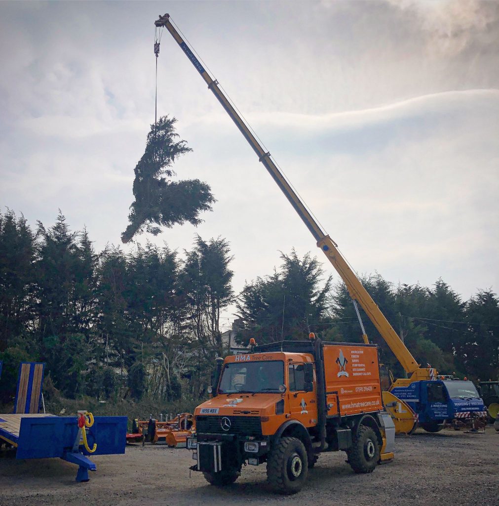 gallery 25 1011x1024 1