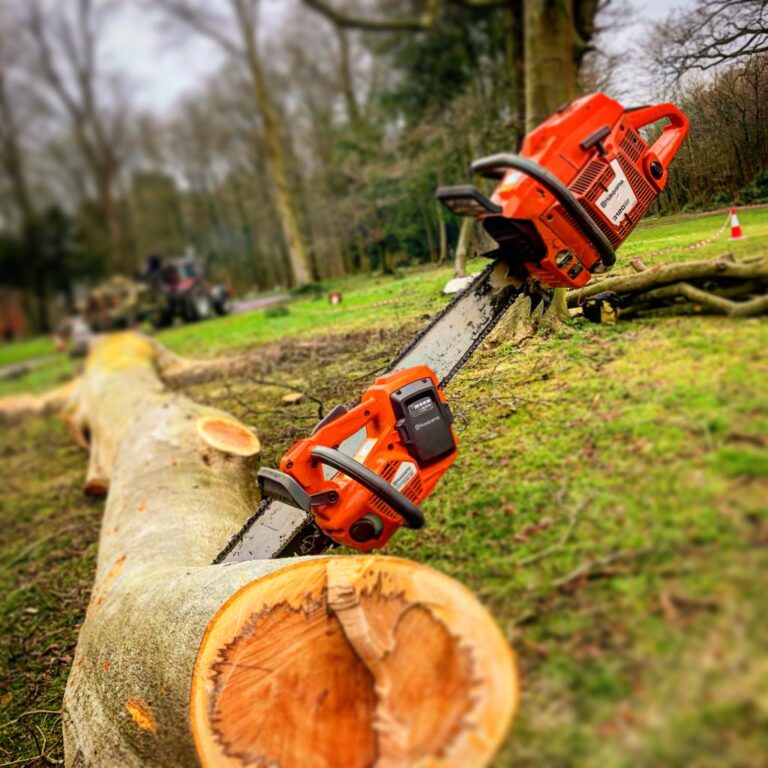 What is stump grinding? 7 What is stump grinding?