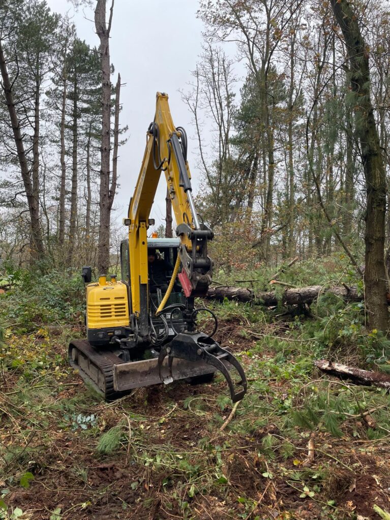 WhatsApp Image 2024 07 12 at 17.34.31 1071ab01