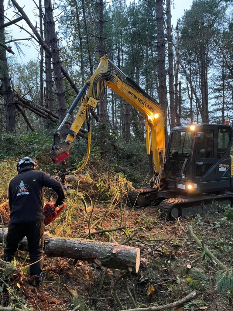 WhatsApp Image 2024 07 12 at 17.34.31 e846008e