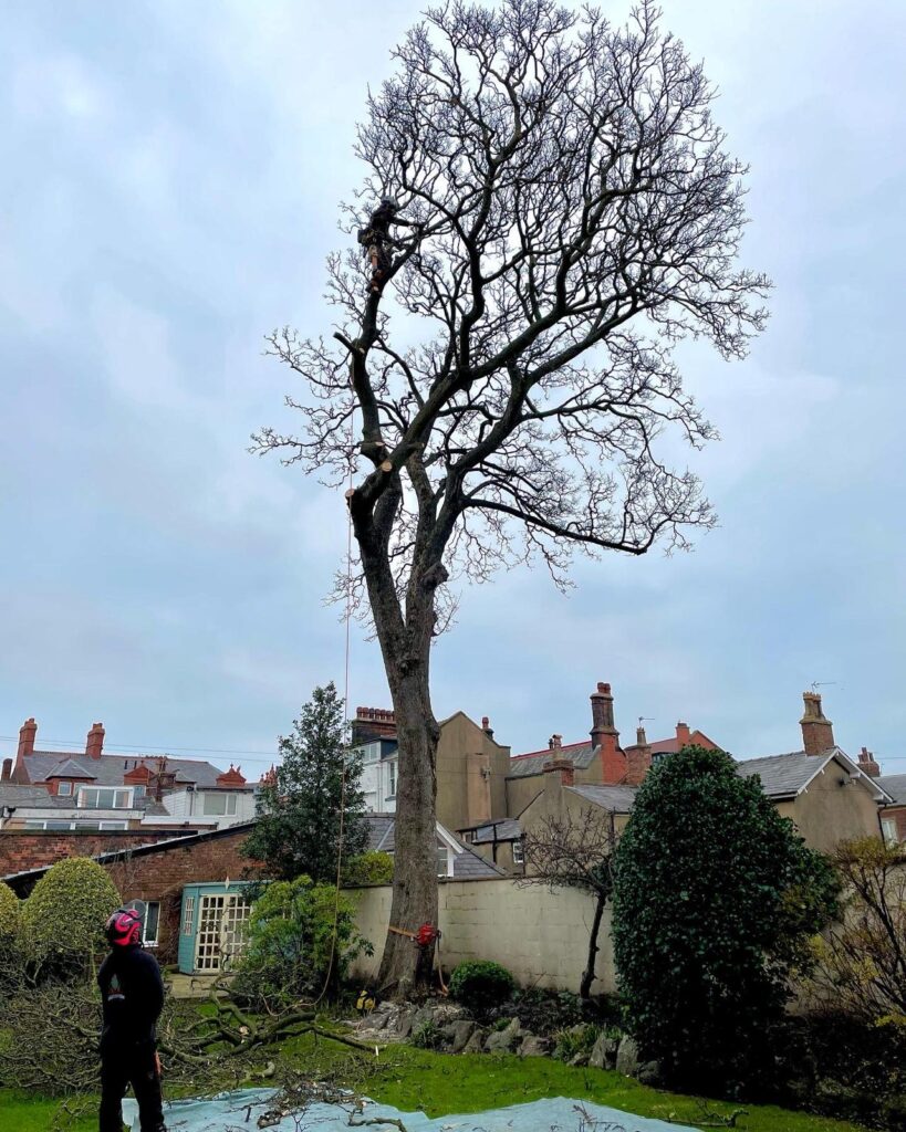 WhatsApp Image 2024 07 12 at 17.34.32 0cbc69a8