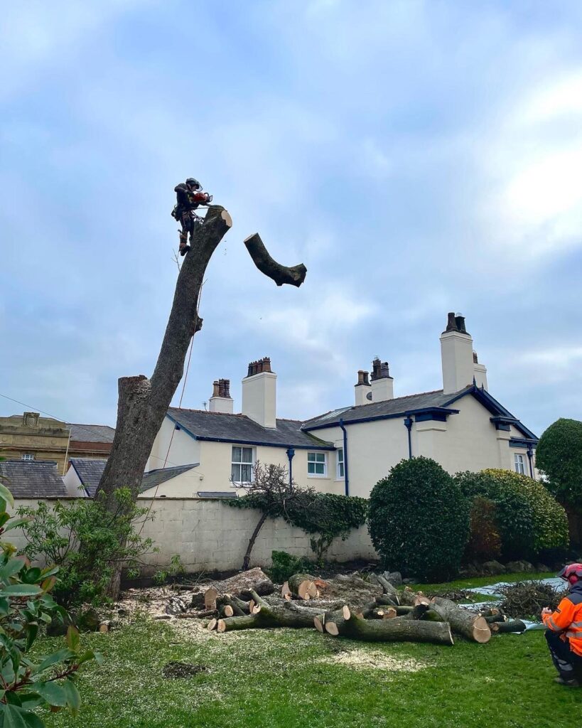 WhatsApp Image 2024 07 12 at 17.34.32 3f9e6b51