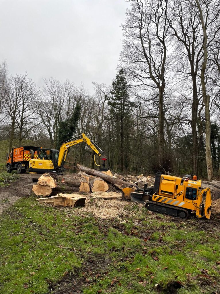 WhatsApp Image 2024 07 12 at 17.34.32 72a9a2de