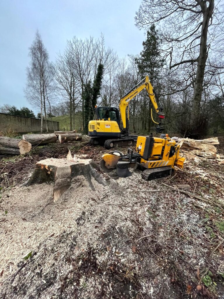 WhatsApp Image 2024 07 12 at 17.34.32 d5e0c91a