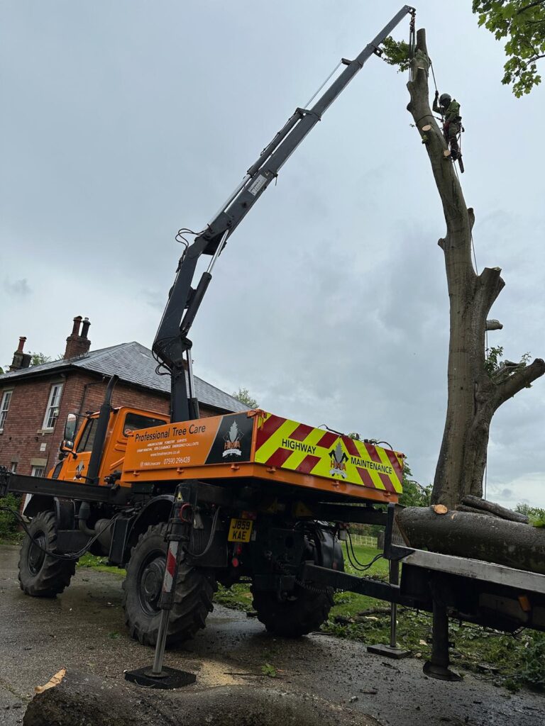 WhatsApp Image 2024 07 12 at 17.34.33 93ca211c