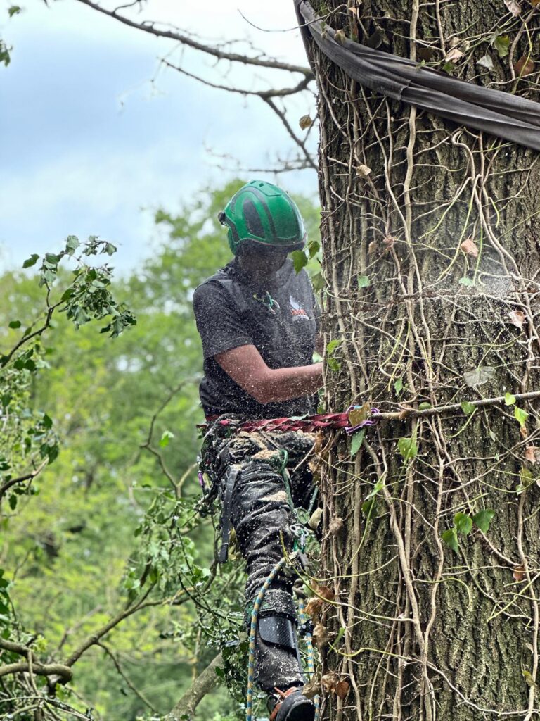 WhatsApp Image 2024 07 12 at 17.34.33 b3fa9165