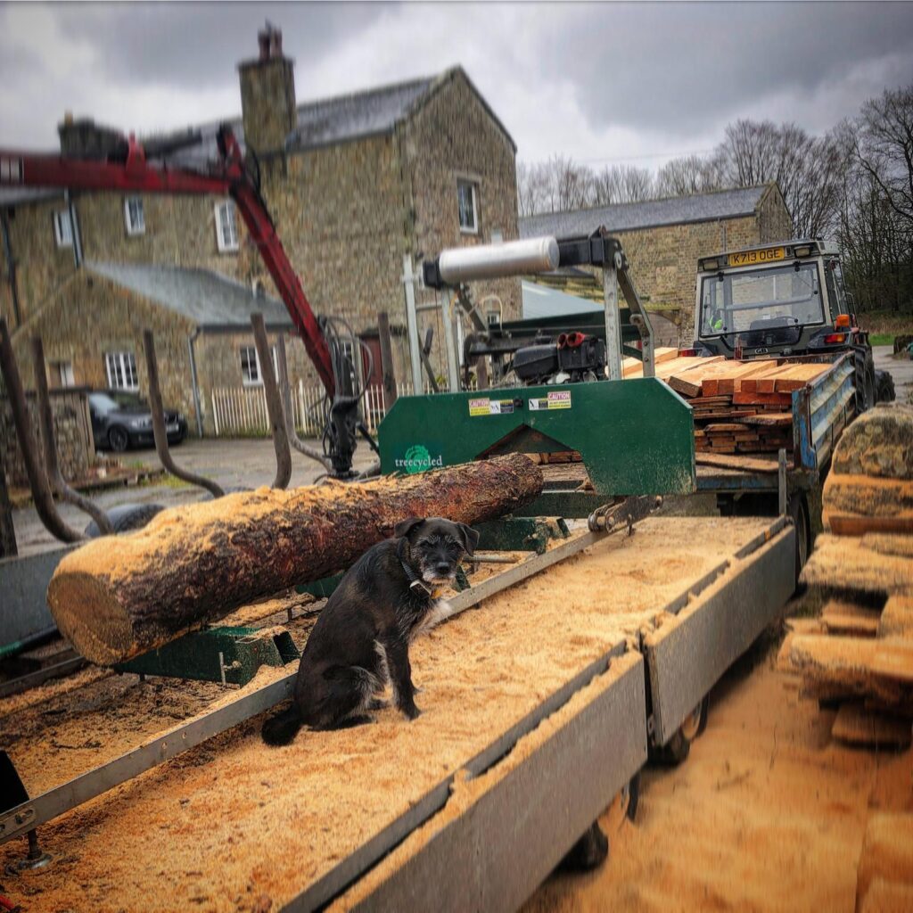 WhatsApp Image 2024 07 12 at 17.34.55 915bf204