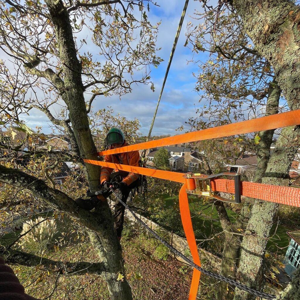 WhatsApp Image 2024 07 12 at 17.35.06 95b98b20