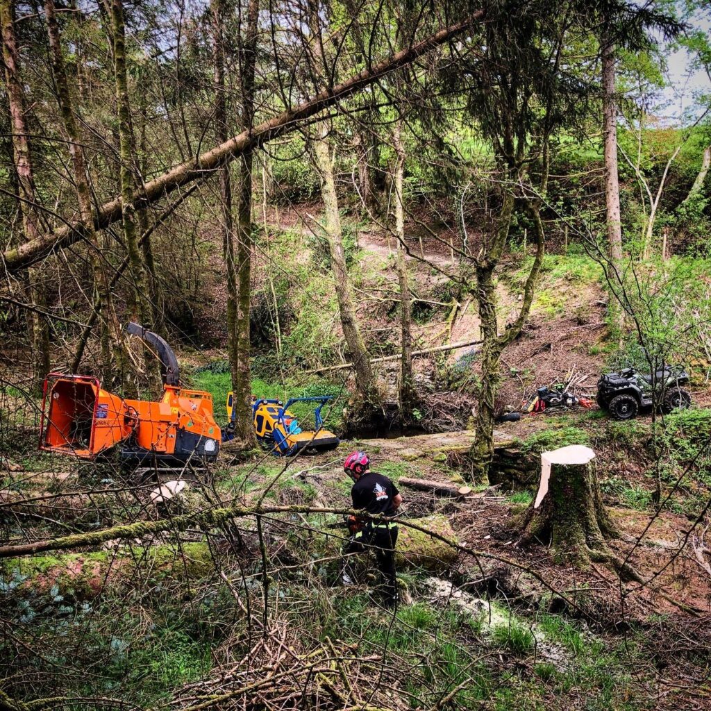 WhatsApp Image 2024 07 12 at 17.35.06 a1dc4ab8