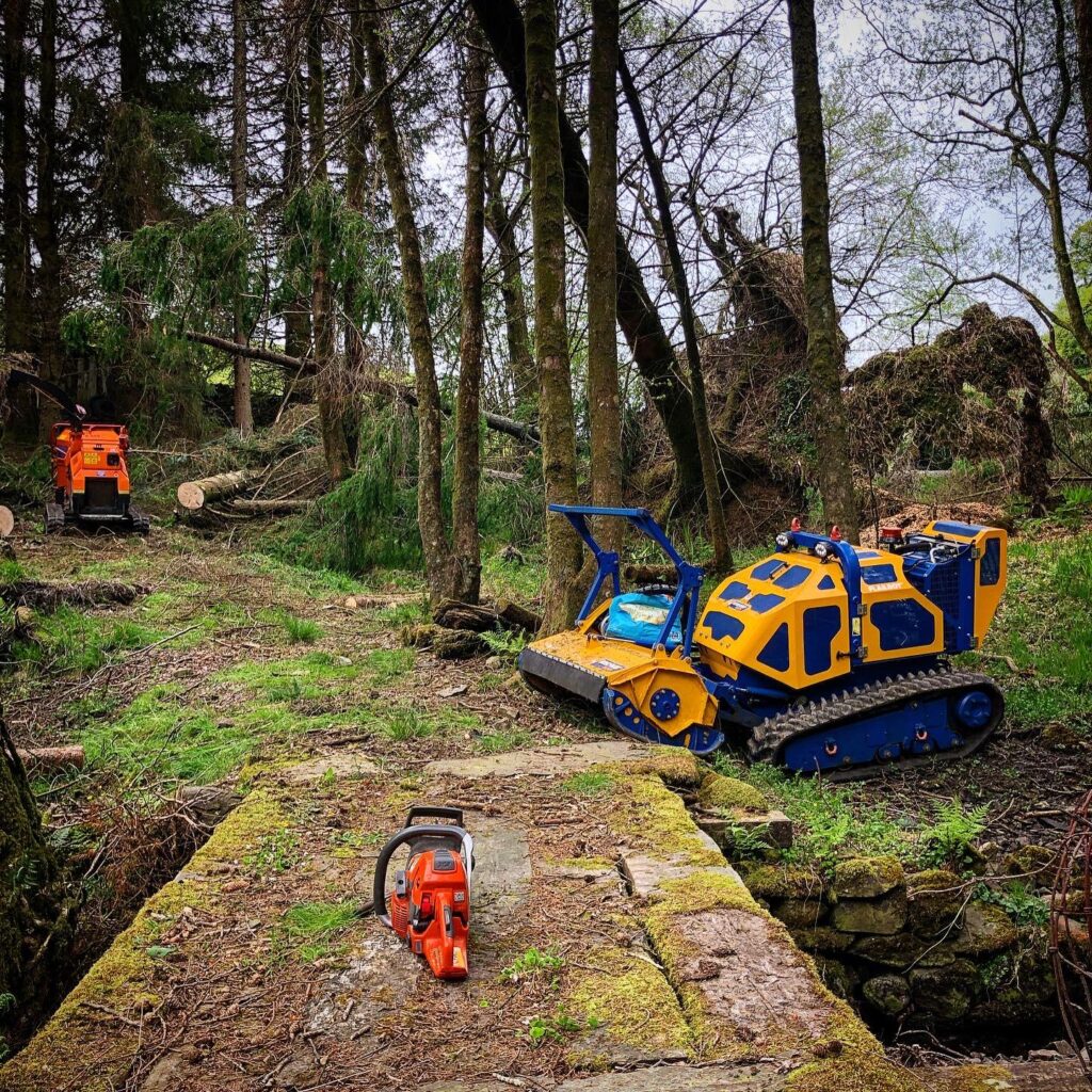 WhatsApp Image 2024 07 12 at 17.35.06 b56e696e