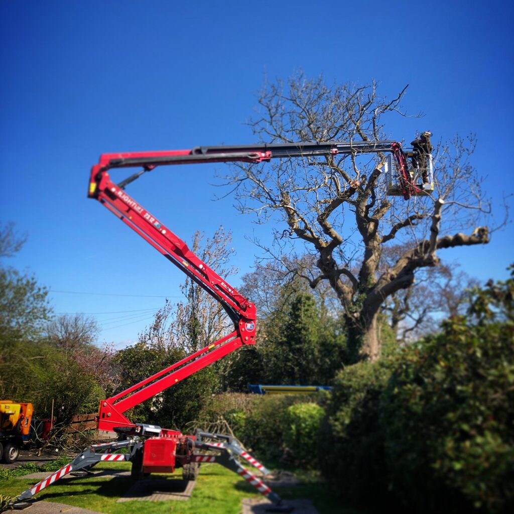 WhatsApp Image 2024 07 12 at 17.35.07 554452c0