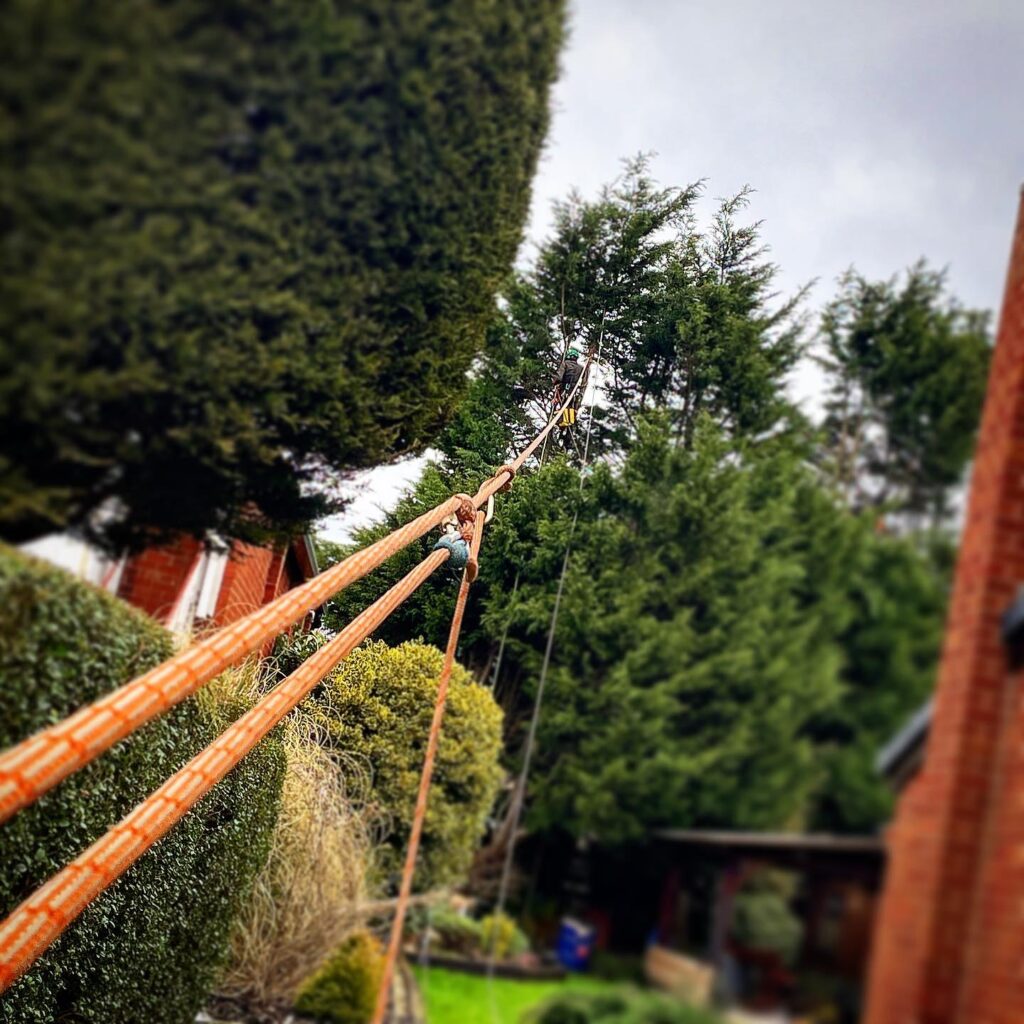 WhatsApp Image 2024 07 12 at 17.35.07 6d9bb63d