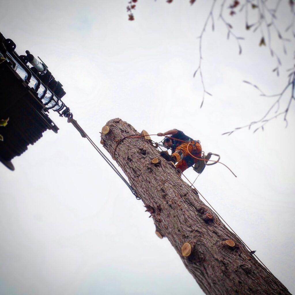 WhatsApp Image 2024 07 12 at 17.35.08 0aea7bd3