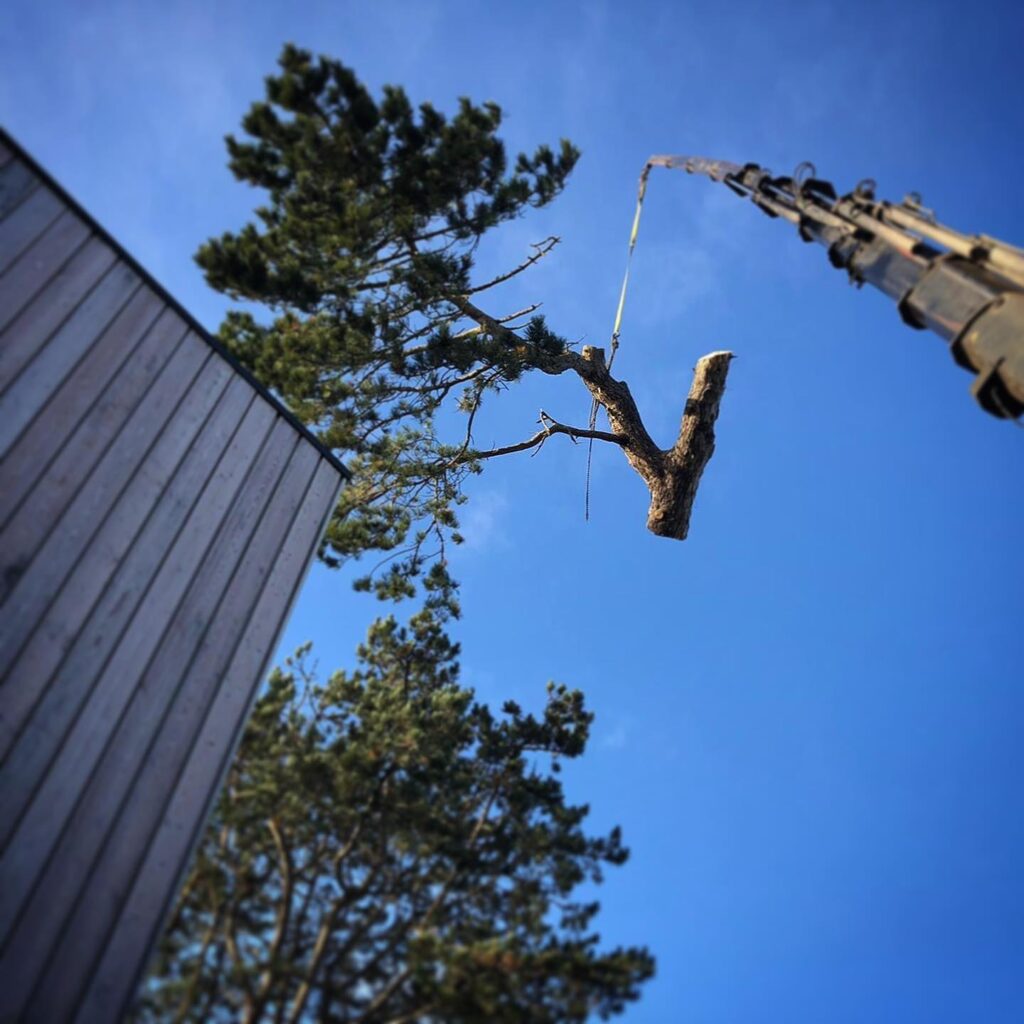 WhatsApp Image 2024 07 12 at 17.35.08 a61dec60