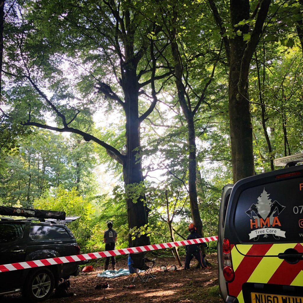 WhatsApp Image 2024 07 12 at 17.35.08 b2266927