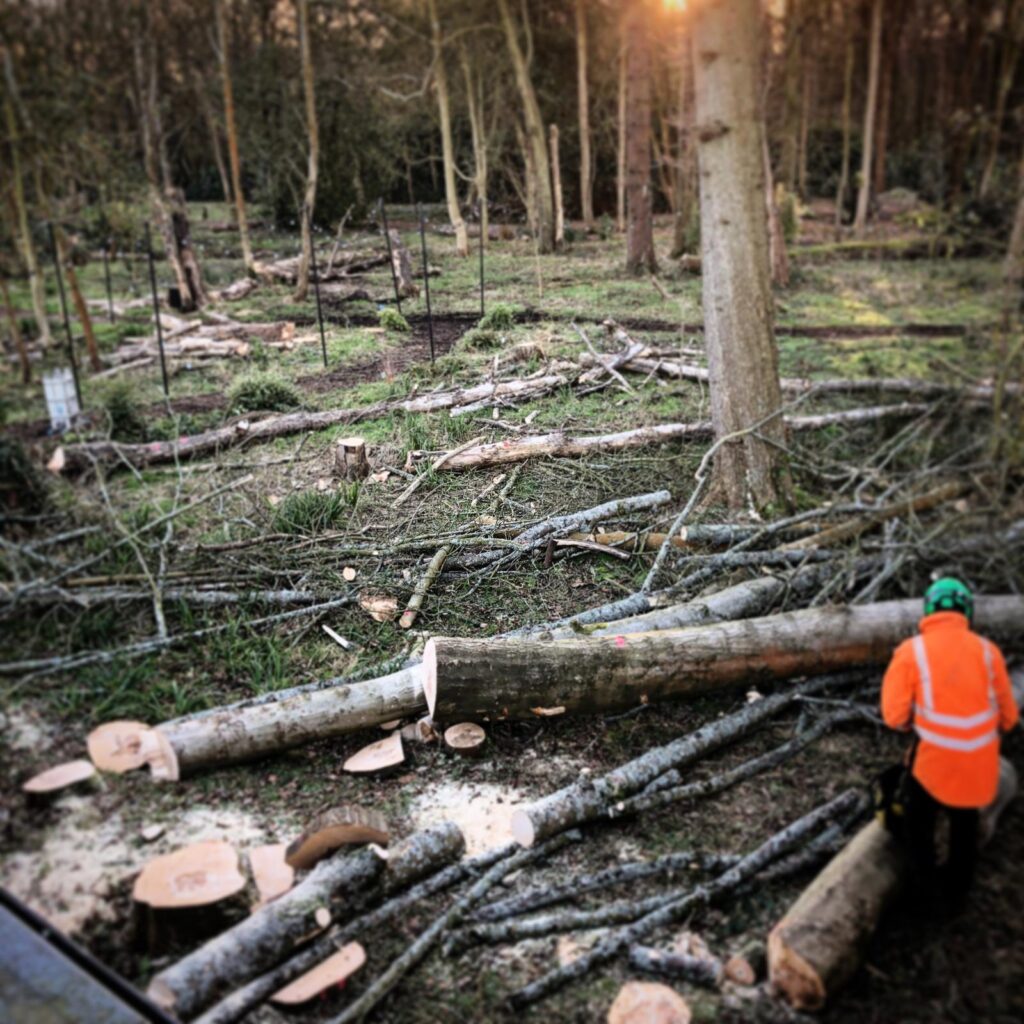 WhatsApp Image 2024 07 12 at 17.35.08 d151f753