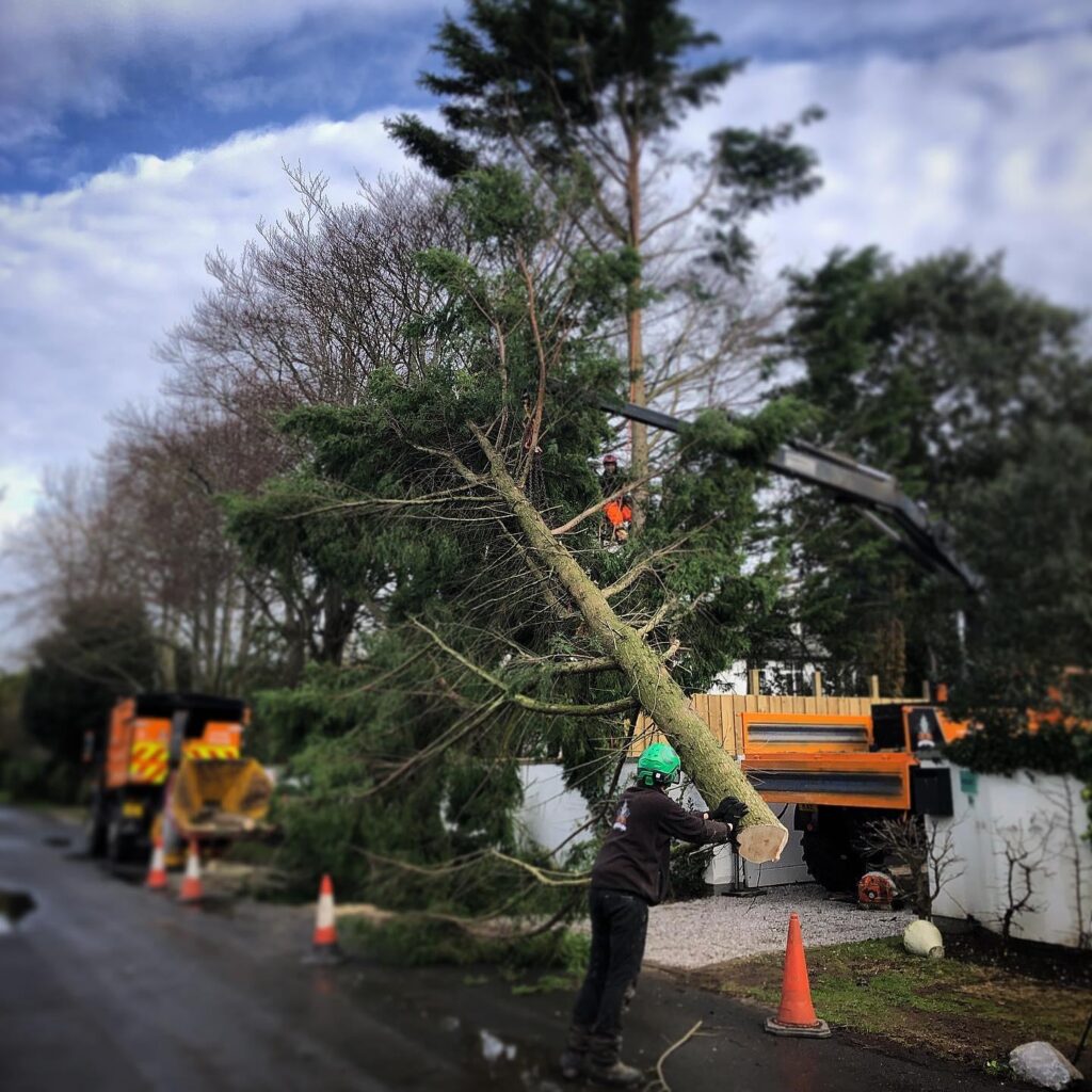 WhatsApp Image 2024 07 12 at 17.35.08 d90644ec